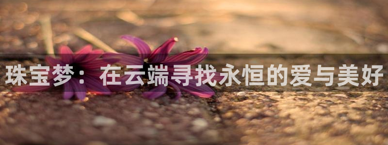 新宝娱乐5入口