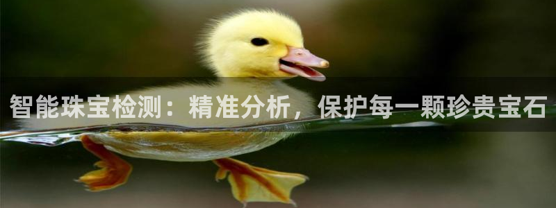 新宝5测登录：智能珠宝检测：精准分析，保护每一颗珍贵宝石