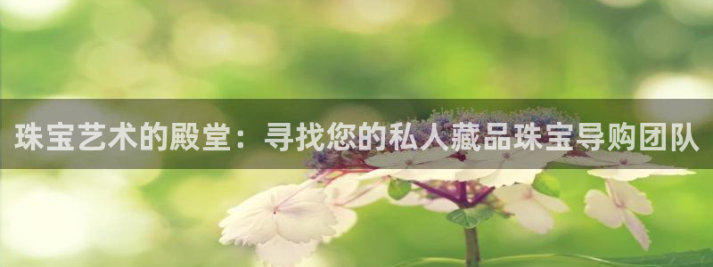 新宝5分彩：珠宝艺术的殿堂：寻找您的私人藏品珠宝导购团队
