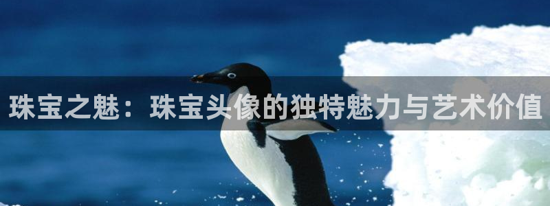 新宝5平台霸：珠宝之魅：珠宝头像的独特魅力与艺术价值