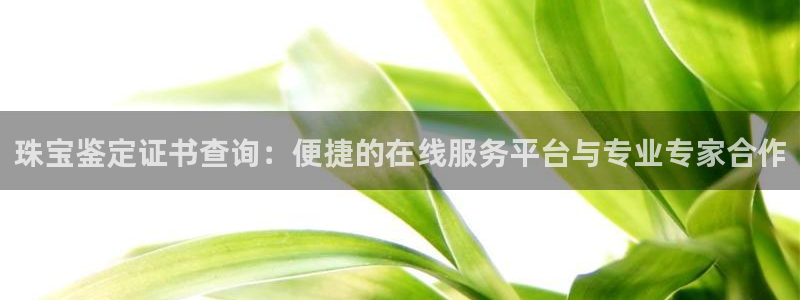 新宝5直属：珠宝鉴定证书查询：便捷的在线服务平台与专业专家合作