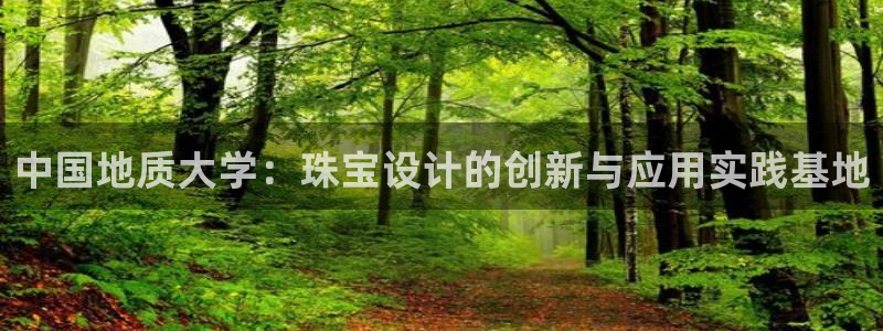 新宝5怎么代理：中国地质大学：珠宝设计的创新与应用实践基地