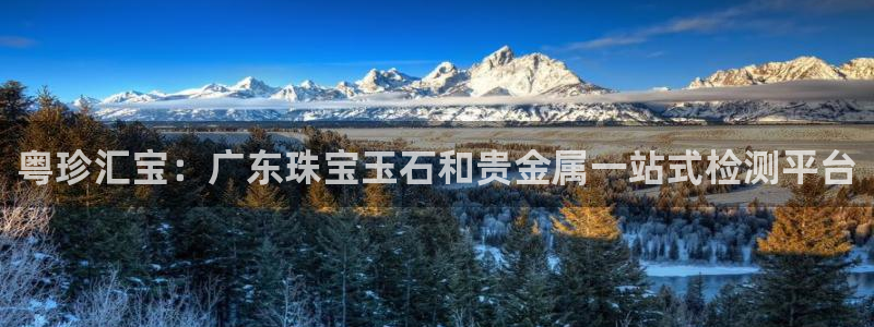 新宝5官方登录入口：粤珍汇宝：广东珠宝玉石和贵金属一站式检测平台