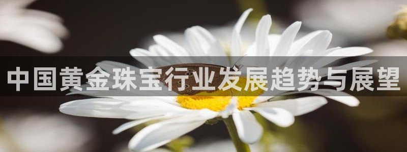 新宝 5测速：中国黄金珠宝行业发展趋势与展望