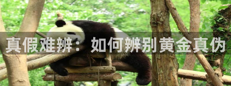新宝xb5：真假难辨：如何辨别黄金真伪