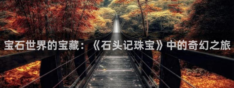新宝5褚32OO59：宝石世界的宝藏：《石头记珠宝》中的奇幻之旅