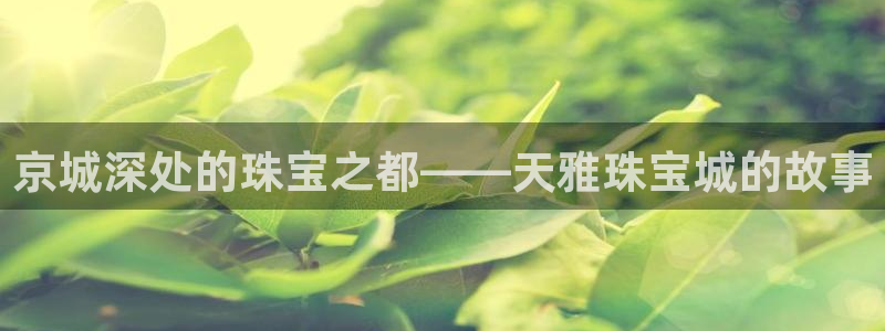 新宝5下载 迅雷下载：京城深处的珠宝之都——天雅珠宝城的故事