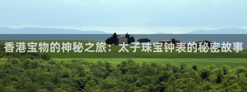 新宝5电脑登录网址：香港宝物的神秘之旅：太子珠宝钟表的秘密故事
