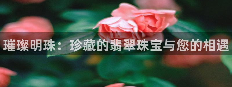 有人知道新宝5么：璀璨明珠：珍藏的翡翠珠宝与您的相遇