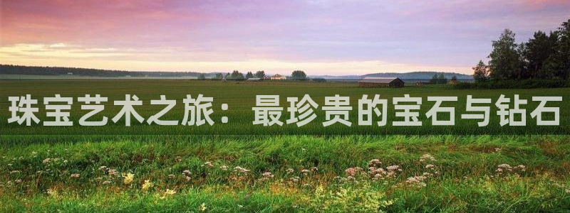 新宝5娱乐登录：珠宝艺术之旅：最珍贵的宝石与钻石