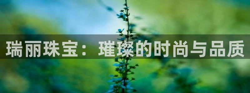 新宝5培训：瑞丽珠宝：璀璨的时尚与品质