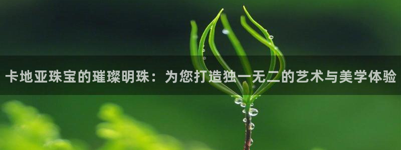 新宝测速5：卡地亚珠宝的璀璨明珠：为您打造独一无二的艺术与美学体验