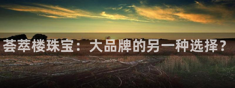 新宝5测试：荟萃楼珠宝：大品牌的另一种选择？